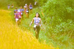 BIB: 
                            <button type="button" onclick="openModal(13455749)" class="btn btn-primary btn-sm float-right btn-popup" data-toggle="modal" data-target=".modal-high-quality">
                        <i class="fas fa-shopping-cart"></i> Add to Cart
                    </button>
                                            <button type="button" onclick="isThisMe(13455749, true)" class="btn btn-success btn-sm float-right btn-popup btn-isme hidden" data-toggle="tooltip" data-placement="bottom" title="นี่คือรูปของคุณใช่ไหม คลิกที่นี่เพื่อเอาเข้าอัลบั้ม">
                        <i class="fas fa-plus"></i> Add to album
                    </button>
                    <button type="button" onclick="isThisMe(13455749, false)" class="btn btn-warning btn-sm float-right btn-popup btn-isnotme hidden">
                        <i class="fas fa-ban"></i> Remove from album
                    </button>